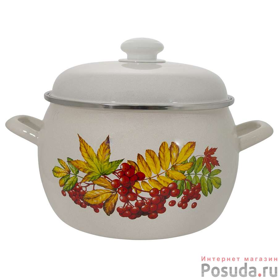 Кастрюля эмал 5,0л Рябина, 4216АП2/4