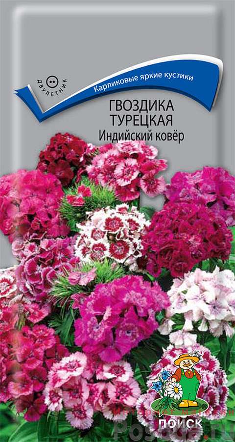 Гвоздика Турецкая Индийский ковер 190785