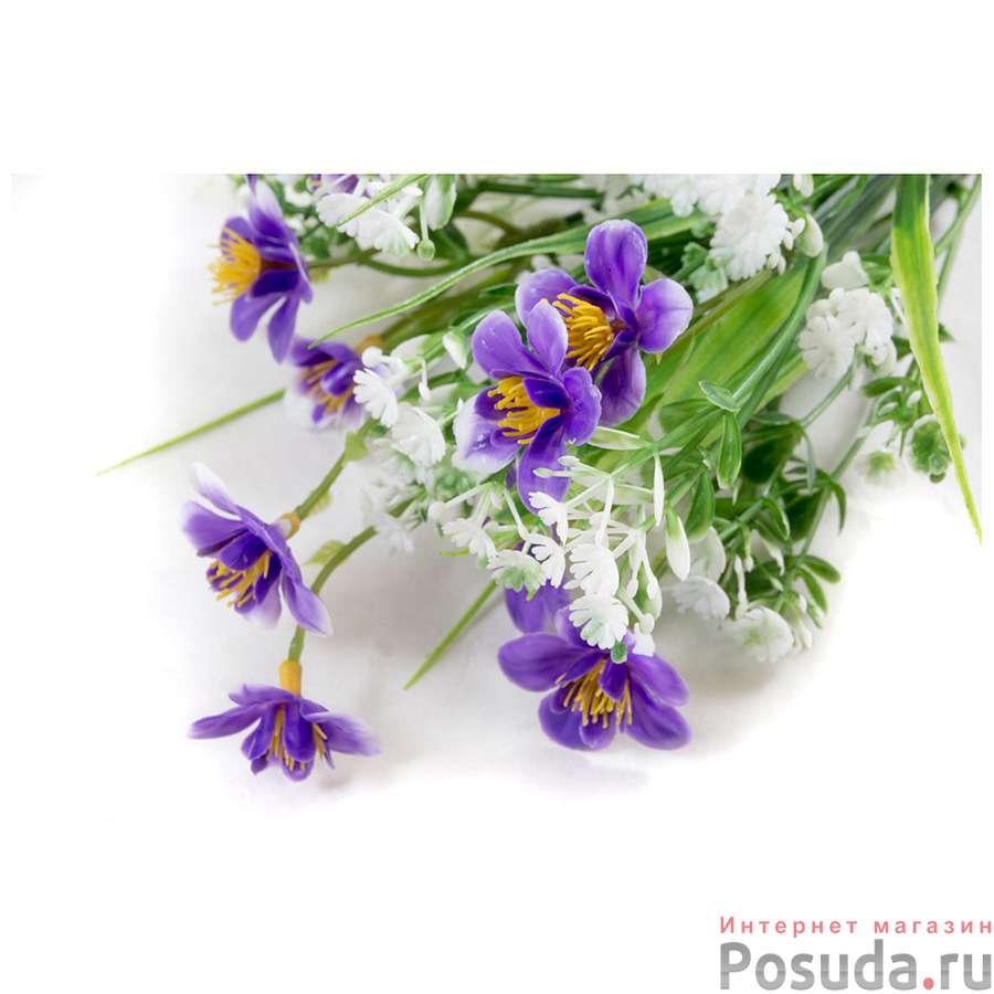 Цветок "Фиалка полевая"