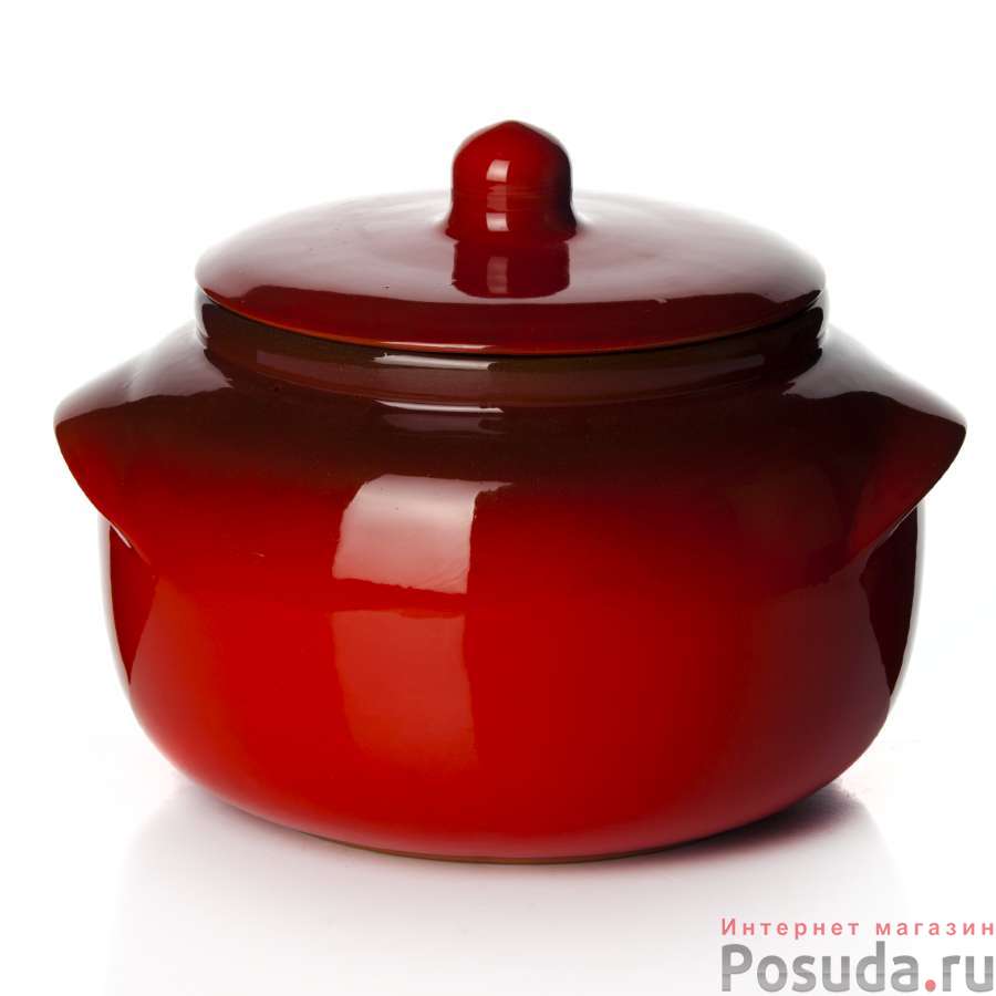 СУПНИК Новарусса №2