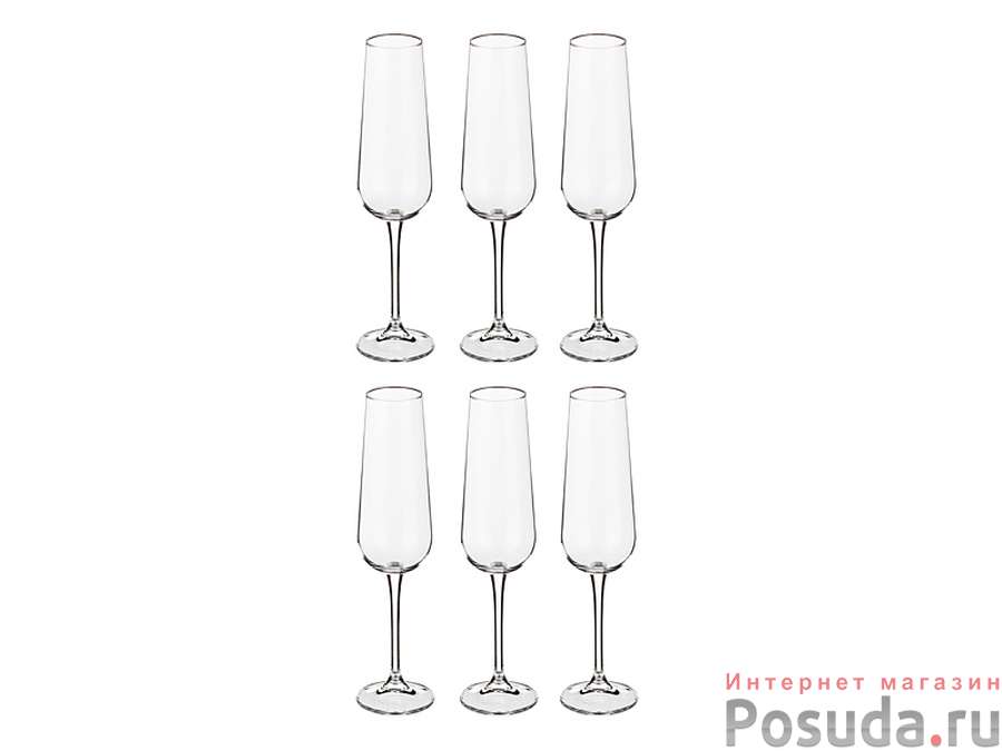 Набор бокалов для шампанского из 6 шт. "Amundsen / ardea" 220 мл. высота=26,5 см.