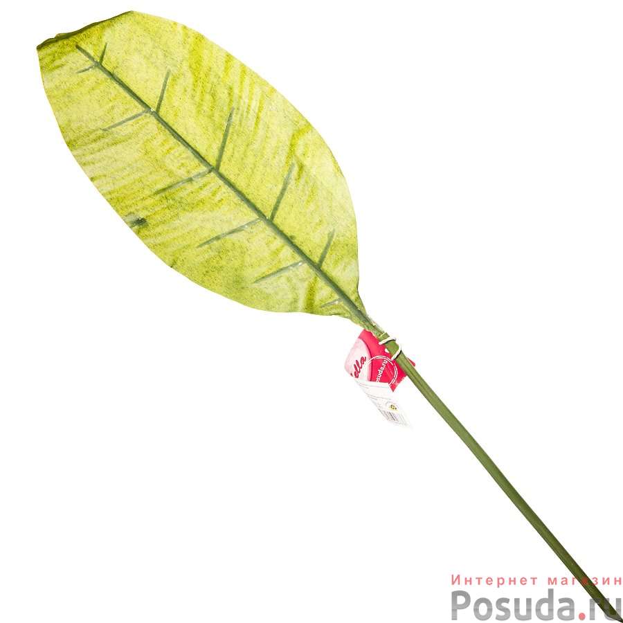 Лист декоративный LaSella, длина 71 см