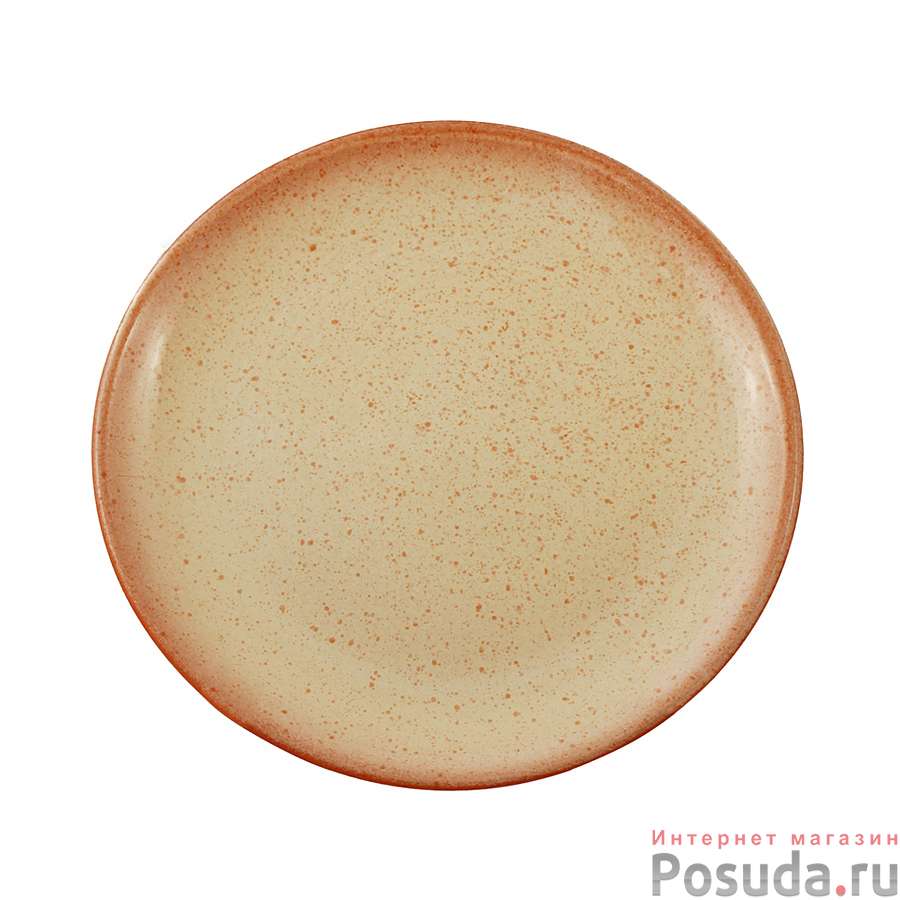 Тарелка плоская d21см (4) (16)  2КСТ-21