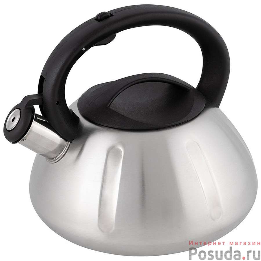 Чайник из нерж. стали MAL-066, 3 литра, цельнометаллический, матовый,со свистком