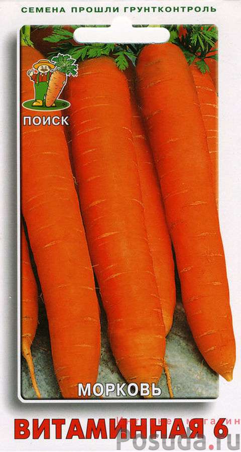 Морковь Витаминная 6 (А) 370342