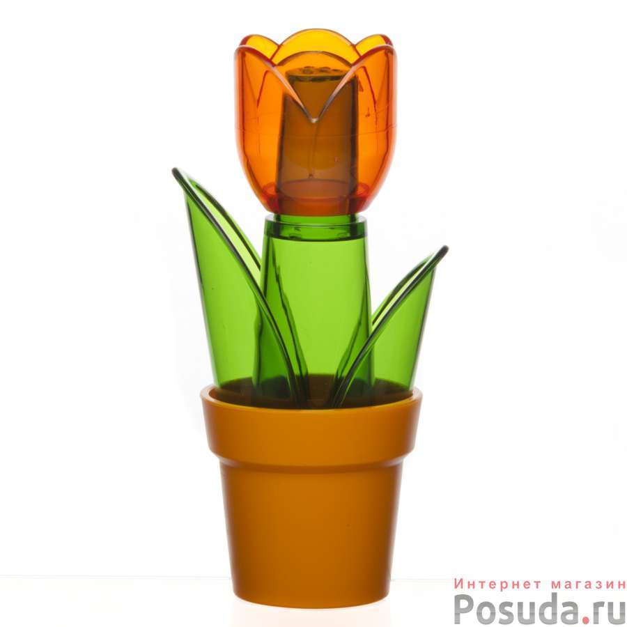 Солонка