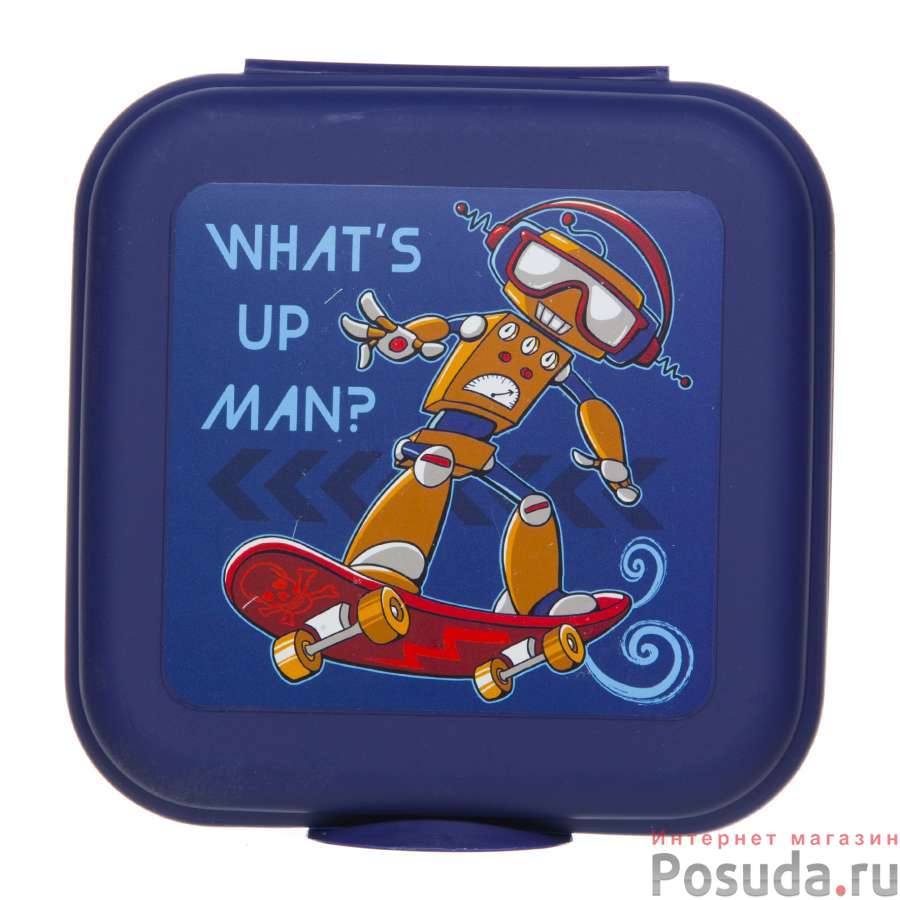 Сэндвич-бокс с рисунком