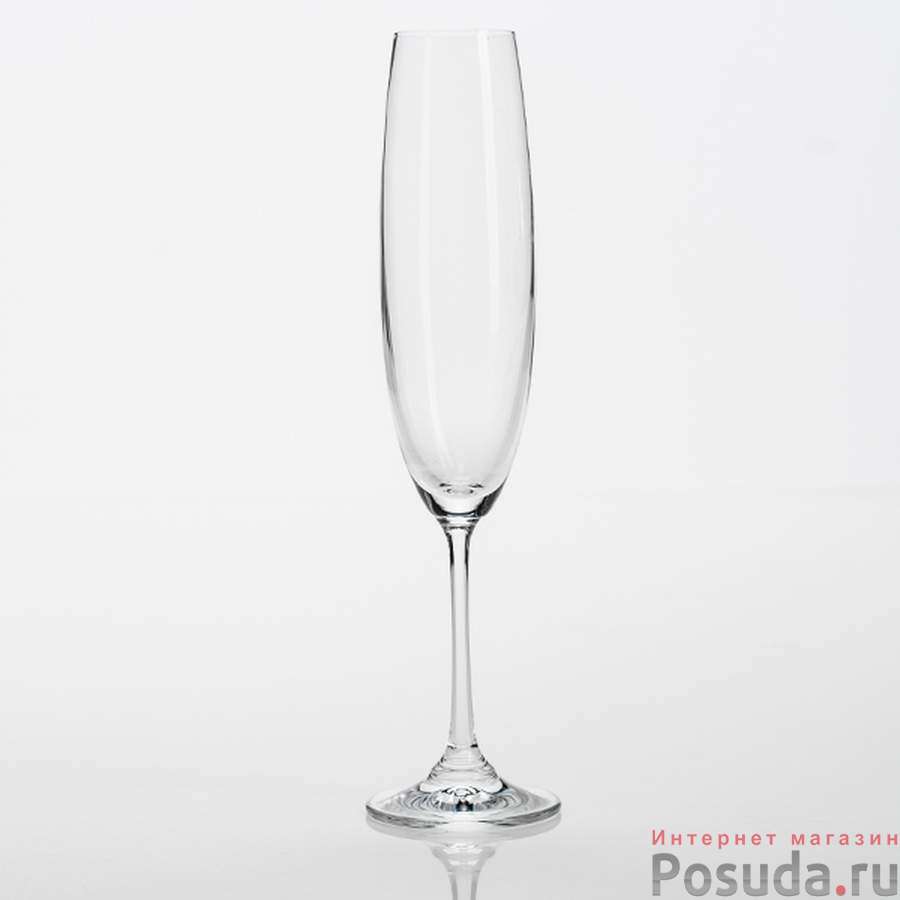 Набор бокалов для шампанского 6 шт Crystalite Bohemia "Барбара", 190 мл