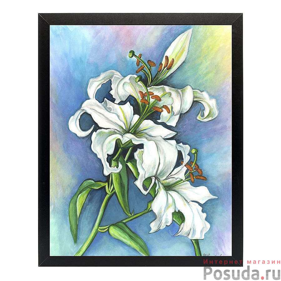 Картина "белые лилии акварель" 40х50 см (матовая бумага)