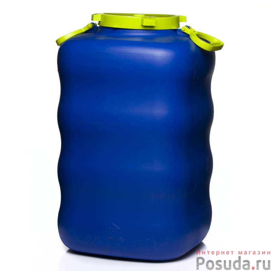 Бак с крышкой и ручками 80 л (синий)