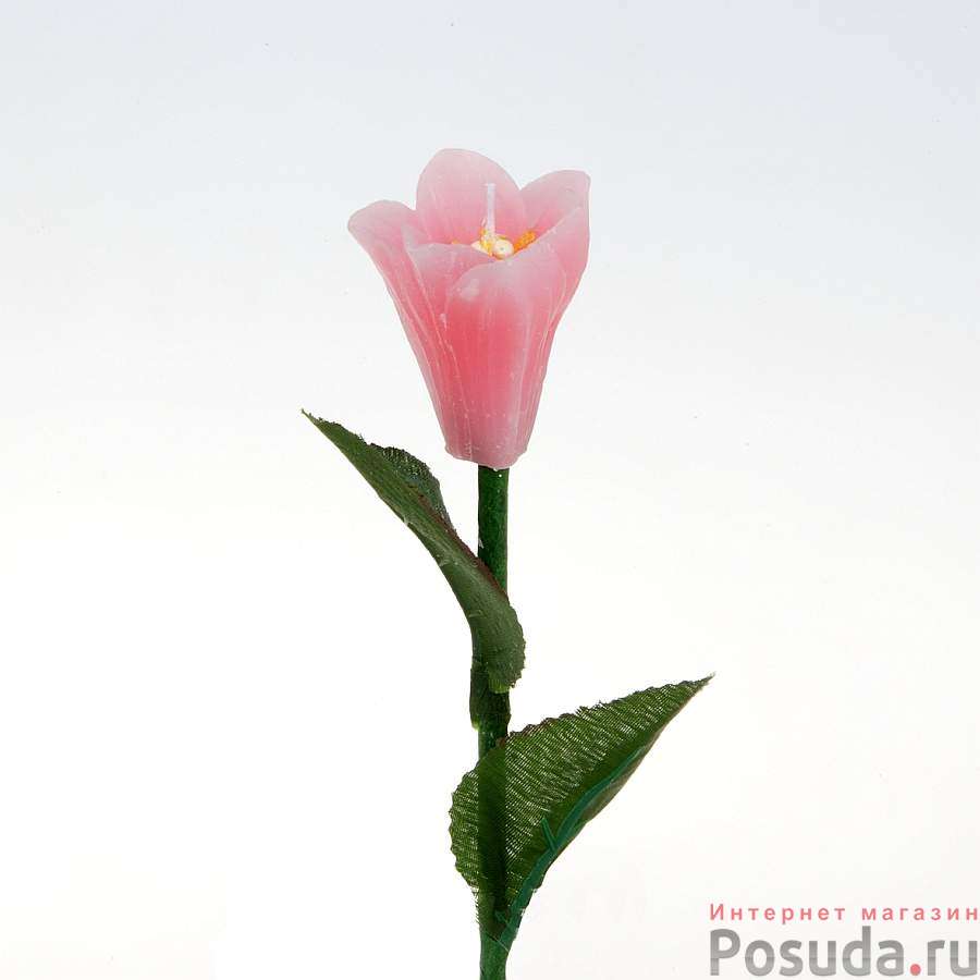 Свеча декоративная "лилия", высота 25.6 см