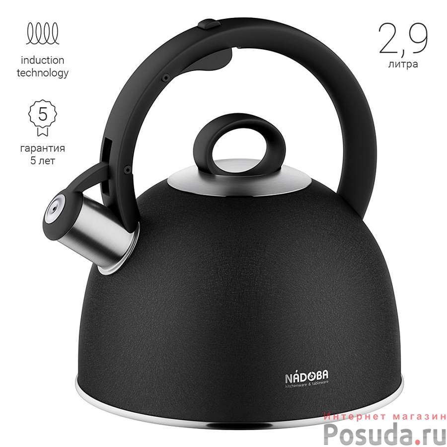 Чайник со свистком, 2,9 л, NADOBA, серия ANESA